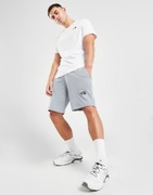 The North Face Outline Spodenki Popielaty Tu:L