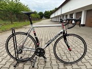 Rower szosowy Wielier Trestina Aluminium 58 cm, Campagnolo Centaur 11s