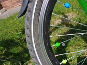 Rower R'Land MTB 20"