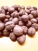 Orzechy ekologiczne z własnego drzewa eko