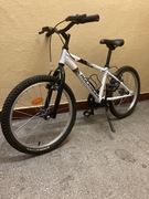 Rower Rockraider 20"