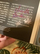 cold wind is the promise of a storm post-rock PL compilation z autografem!