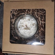 świeca sojowa, kolekcja Fresh, Robea 