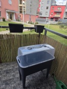 Miniszklarenka Chomik 76 cm x 38 cm tworzywo sztuczne warzywniak