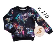 Nowa bluza chłopięca w rozmiarze 110 produkt Hand Made 