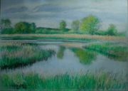 Staw w Stolcu k. Szczecina, pastele, A. S. Wiśniewski, 2023