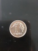  1 grosz z 1990 b.ładna 