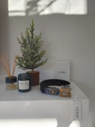 Pasek Guess czarny xl nowy 