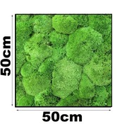 | MECH PODUSZKOWY 50x50cm | naturalny dekoracyjny