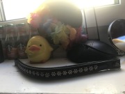 Naczółek dla konia