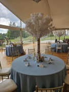 Ozdobne drzewka kwiatowe