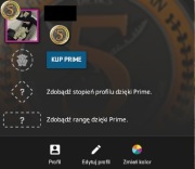 Konto CS2 CSGO 11000 GODZIN FACEIT SMURF