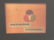 Bajka do rzutnika. Disney. Kaczor Donald.Nieznośne kaczorki