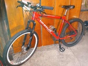 Rower MTB Wheeler, rama 19"