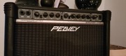 Combo gitarowe PEAVEY ENVOY 110