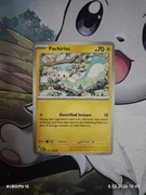 Pachirisu (MEG 047/132) 