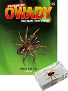 PRAWDZIWE OWADY nr 45 - pająk gryziel