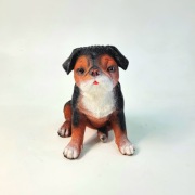 Pies mały , dekoracja , ozodba , prezent