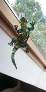 Szklana salamandra od tomekidomek 