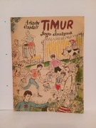 Arkady Gajder Timur i jego drużyna 