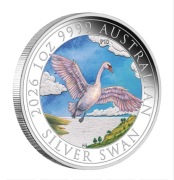 Australijski Łabędź 2026 kolorowany Perth Mint