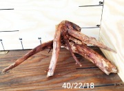 Korzeń do terrarium/akwarium. Suchy. Wstępnie oczyszczony