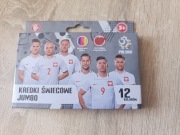 Kredki Świecowe Jumbo Polska Pzpn Astra dla dzieci - 12 Kolorów