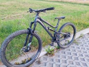 Rower Dartmoor bluebird intro Mulet 2023 (custom)