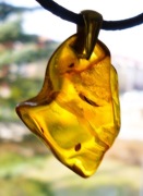 WISIOR Z BURSZTYNU, ZAWIESZKA WBU-37