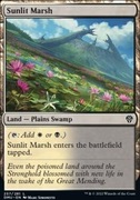 MTG top Sunlit Marsh
