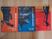 Batman Catwoman komiksy Jeph Loeb Tim Sale