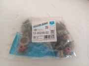 Uszczelniacze zaworowe 12-36208-02 2.4JTDM