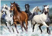 Haft diamentowy 40x50 Konie obraz na ramie