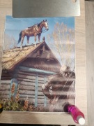 Plakat na płótnie – Wiedźmin „Płotka na dachu” – 30x40 cm (bez ramy)