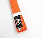 KARATE Pas do kimona Pas do karate Pomarańczowy PANTHERA 280 cm