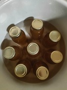 Syrop z pędów sosny z przy, zbiorów bez oprysków i nawozów 330ml 