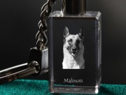 Malinois brelok sześcienny ŚWIECĄCY