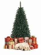 Choinka sztuczna 180cm, sosna, gęsta, jak żywa!!!