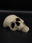 Kryjówka w kształcie czaszki