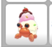 Adoot me pet ice cream hermit crab