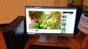 Świetny monitor HP 24'