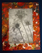 Ramka na zdjęcie z motywem kwiatowym .