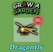 Dragonfly Grow a Garden