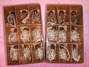 Nowe ozdobne zawieszki jajka wielkanocne z suszonymi ozdobnymi trawami