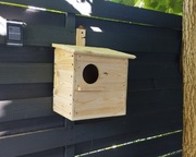 Domek dla wiewiórek. Budka.