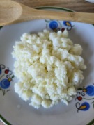 Grzybek tybetański, ziarno kefirowe, kefir