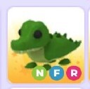 Adopt me! Crocodile NFR (Mid tier!)
