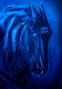 OBRAZ KOŃ, ZNAK ZODIAKU WODNIK