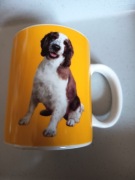 KUBEK PEDIGREE KUBKI 