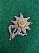 Szarotka Gebirgsjaeger Strzelców Górskich WH